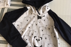 Hoody Eisbär
